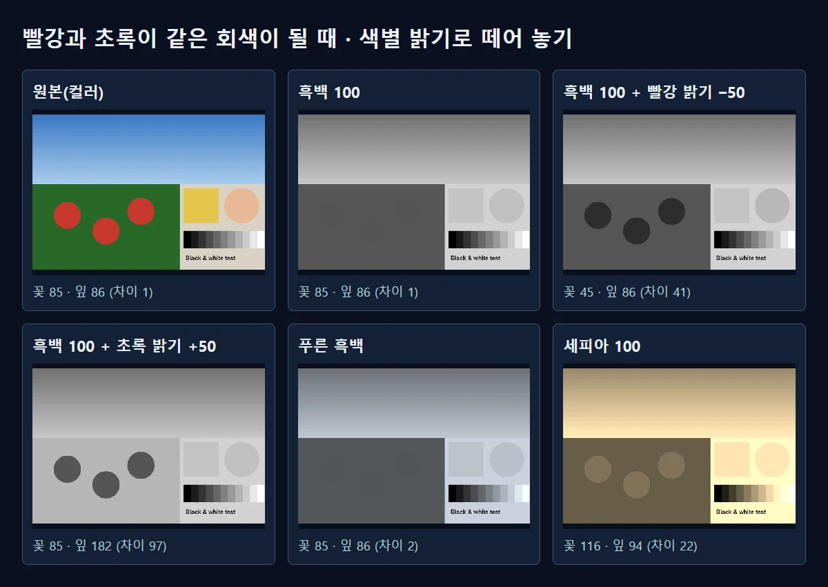 실제 저장한 결과(표시용 축소). 흑백 100만 쓰면 꽃과 잎이 같은 회색이 되고, 색별 조정을 함께 쓰면 갈라집니다.