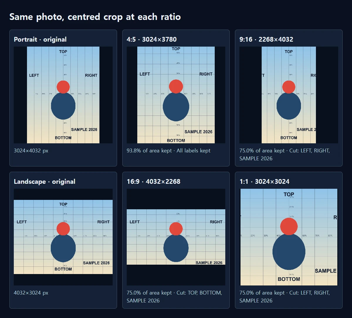 Actual saved crops, downscaled for display. Cropping a landscape photo to a tall ratio removes the side labels.